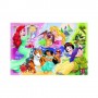 Puzzle 160 peças - Princesas e Amigos