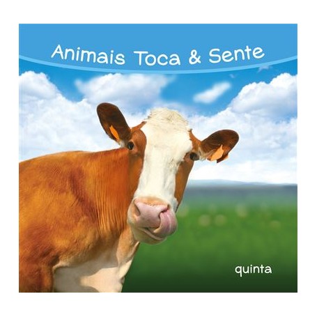 Animais Toca & Sente - Quinta
